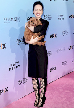 Iheartkatyperry: Katy Perry And Butters Attend The Screening Of Epix’s ‘Katy