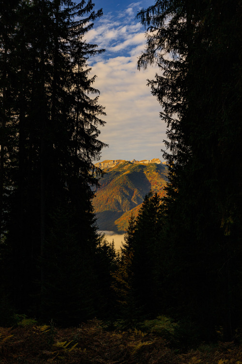 Autumn Sunrise - Adlerweg, Tirol, Austria, October 2022
