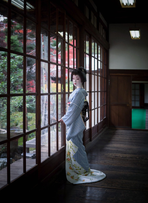 Geiko is Toshikana. Shooting location is Ryuhonji Temple. Photo by Hiseong Kim. 55maiko.net