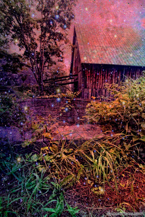 THE WONDERFUL WORLD OF LARRY CARLSON