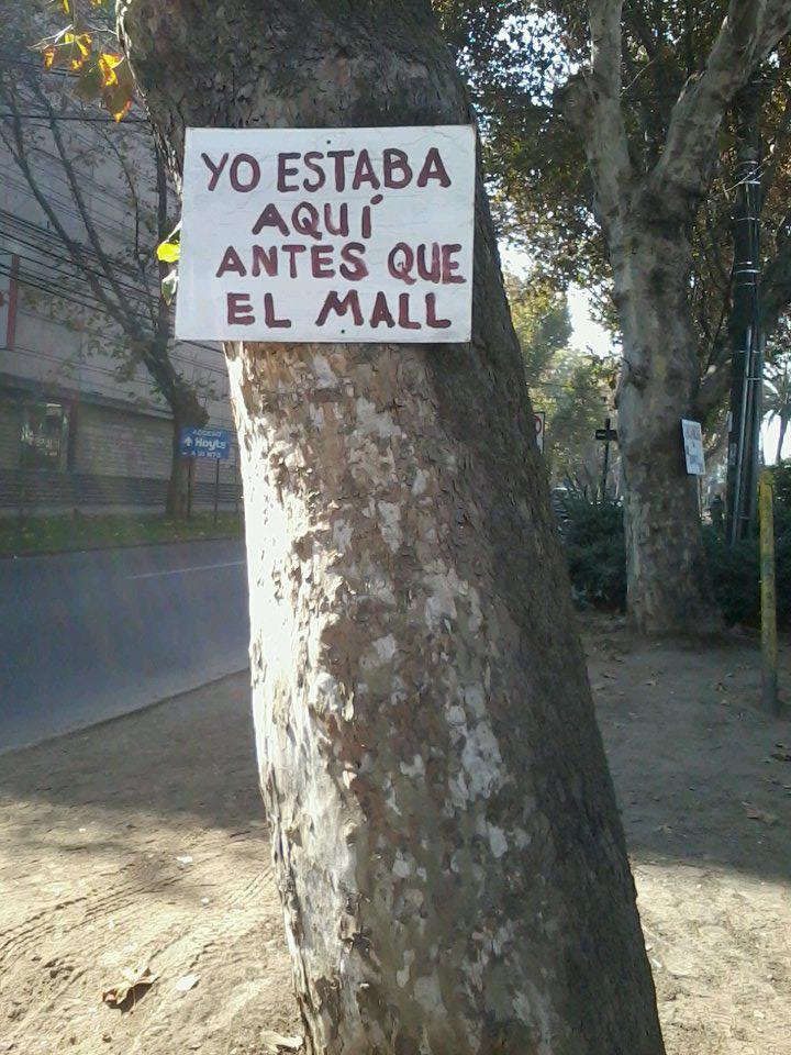 que-sensueal:  me-cai-de-la-cuna:  me-cai-de-la-cuna  Así se habla mierda!