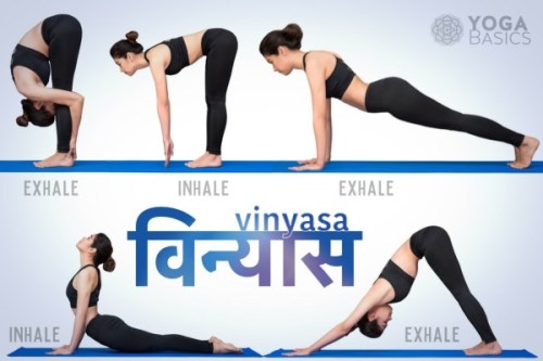 yoga-basics:Vinyasa in Yoga (Definition, Use, History & Tips) https://www.yogabasics.com/learn/a