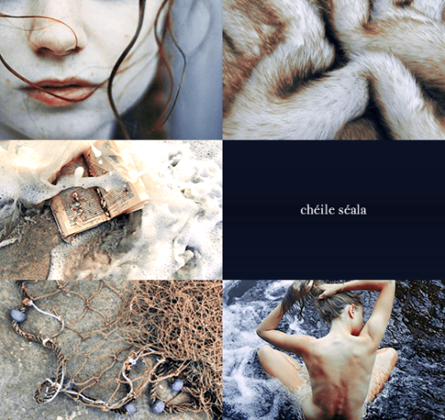 ibuzoo:1000 Picspams Challenge | #259 - Selkies