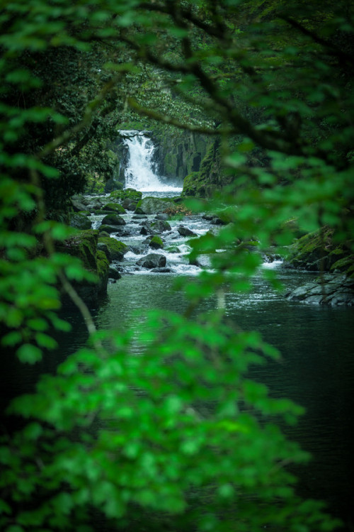 worlds-evolution: Hidden falls - Kumamoto, Kyushu, Japan by Masato Mukoyama