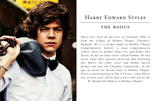 autumnavenue:MEET HARRY; One Direction fake book series [x](note to avoid confusion: this is not a r