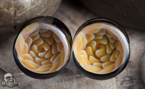 bodyartforms:  5/8” Glass plugs by Modifika http://www.bodyartforms.com/products.asp?brand=Modifika&material=Glass&new=Yes 