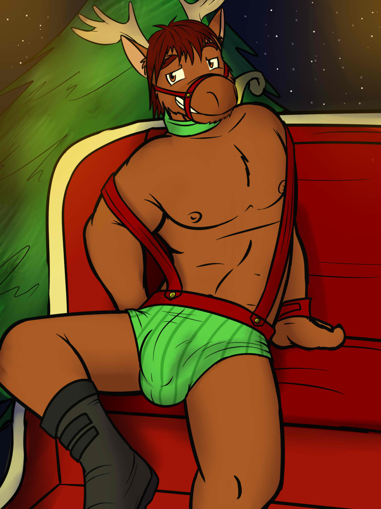 Toby in some vaguely holiday attire.