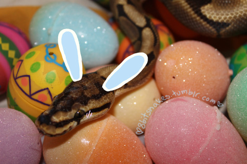 8bitsnakes:Happy Easter from Hades! 