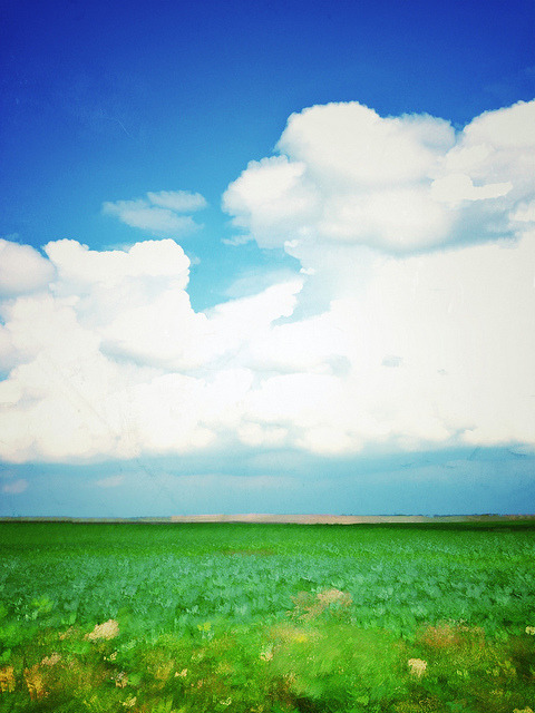 Free As A Bird On Flickr.