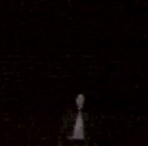 Lake Mungo (2008)