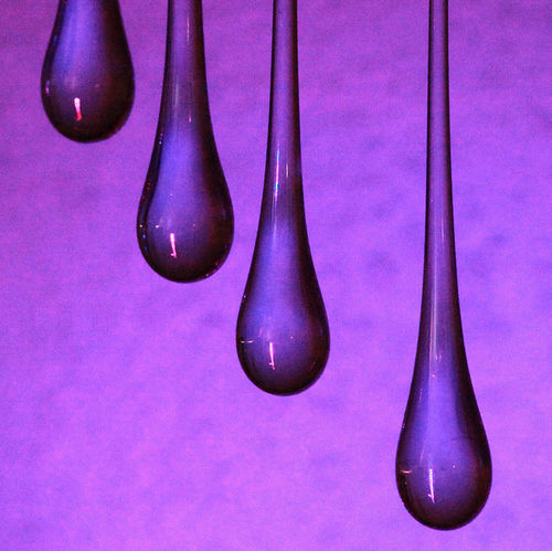 baetology:  purple moods // @thevarnellmancan