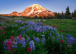 vurtual:  Mt. Rainier (by Yanbing Shi)