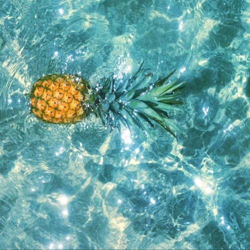 tropi-cali-s:  beachyadventure:  💮make today count💮  ☀️🌺 Tropical blog 🌺☀️