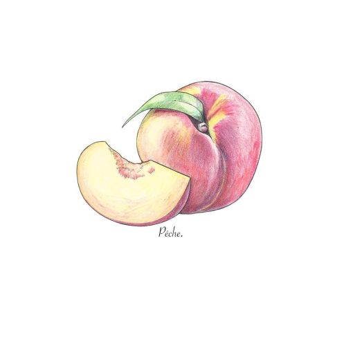 What else is in the teaches of peaches… ~ #peach#illustration#art#foodart#foodillustration#fr