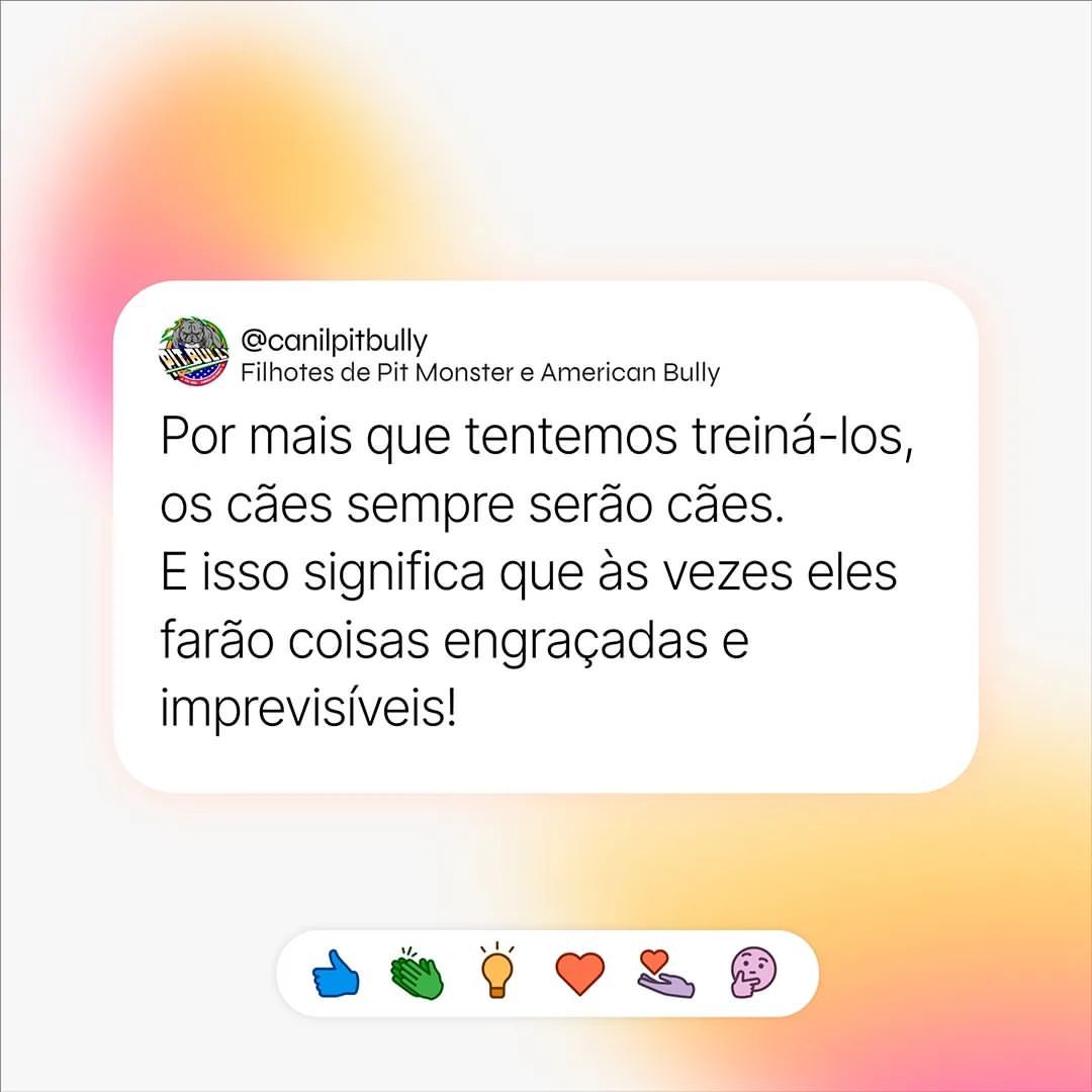 7 vídeos engraçados de cachorro que te farão gargalhar de tão engraçados