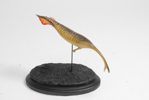 paleoillustration:Reconstructions of Devonian Life