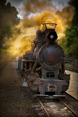 doyoulikevintage:Train Painting