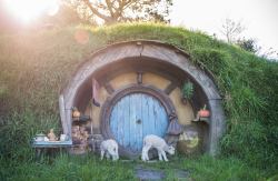 voiceofnature:  Homes in the Shire by Shaun