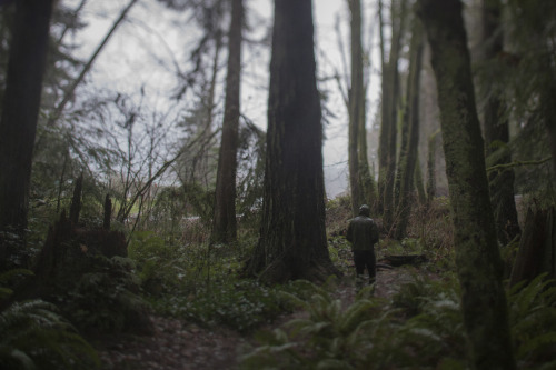 Vashon Island, WashingtonDec. 2015by: philip ericsson