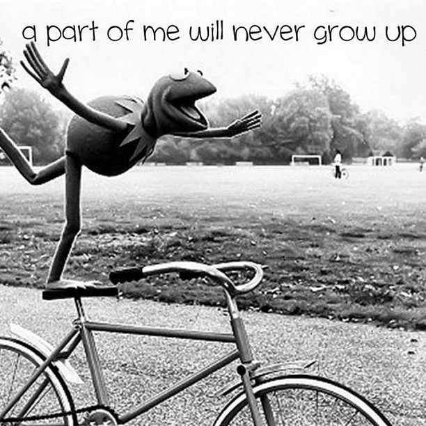 #kermit #kermitthefrog #themuppets