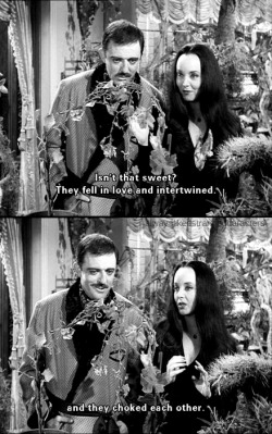 i-alwayslikedstrangecharacters: The Addams Family (1964–1966)   