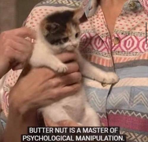 Nux Butyri magister pravae usurpationis psychologicae est.Butter Nut is the master of psychological 
