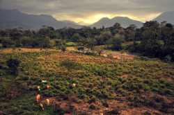 seattlestravels:  View from La Casona Rio Fortuna, Sonafluca, Costa Rica. See more. 