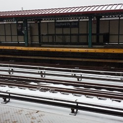 The Day I Get My Diploma, It Snows. Fuck You, Lehman.