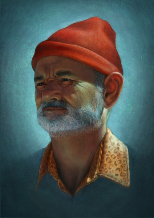 mindbodysea:  knockout9:  Finally fixed up Bill/Steve  I aspire to be Steve Zissou one day