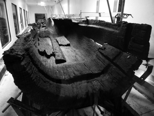 ‘The Ferriby Boats’; one of three preserved Bronze Age wooden boats, The Museum of East Riding, Hull