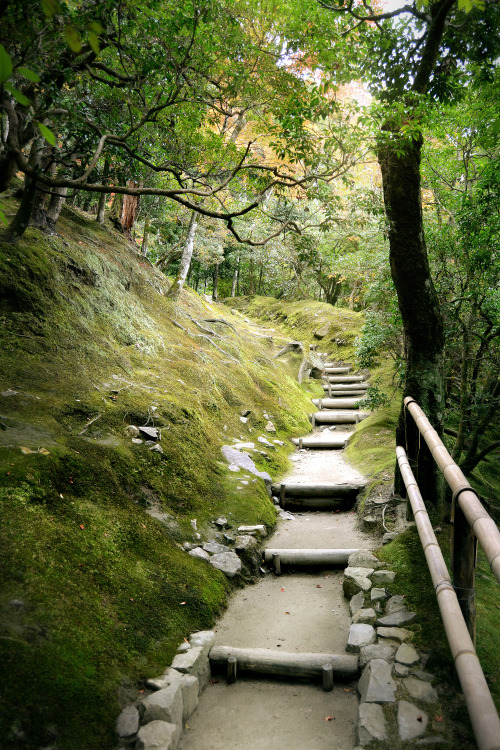 b-no-photo-stuff:- A path in the forest - Somewhere in Kyoto - 2014 - 