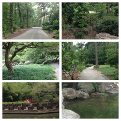 eboneechristinaunknown:  Nature brings it all out of you. #BotanicalGardens #Serene