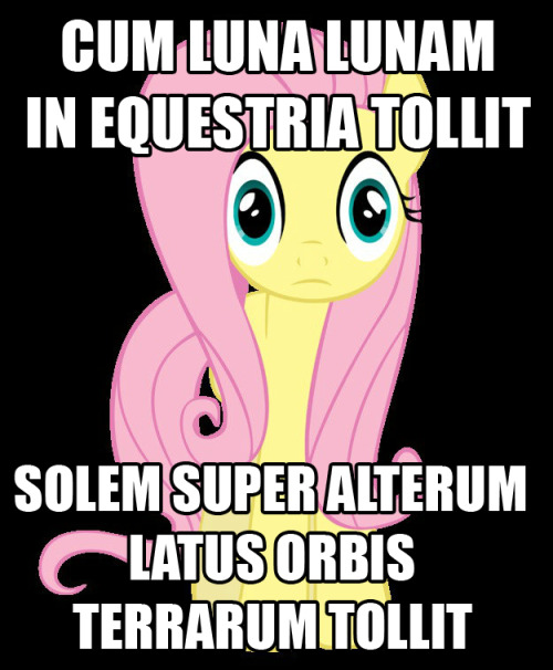 Cum Luna lunam in Equestria tollitSolem super alterum latus orbis terrarum tollit When Luna raises t