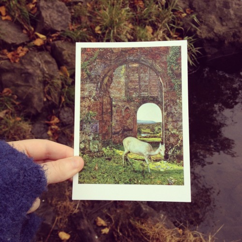 I love my postcards and I’m trying to love autumn, so here’s a little combo for your eye