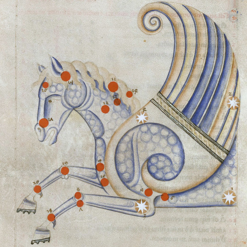 discardingimages:Pegasus constellationSufi Latinus (Latin translation of ‘Kitāb al-kawākib al-thābit