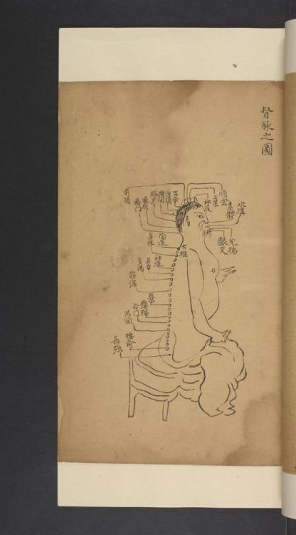LJS 389 Shi si jing fa hui. Written in China after 1528.14th-century treatise on the anatomy, physio