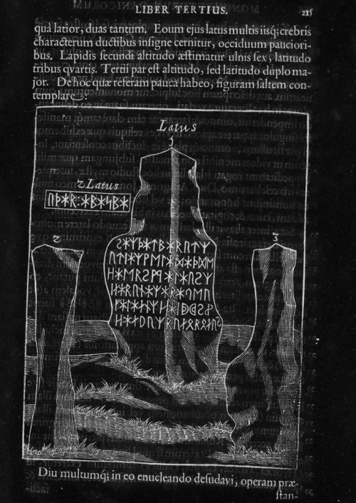 chaosophia218: Ole Worm - Danish Runestones, “Danicorum Monumentorum”, 1643.