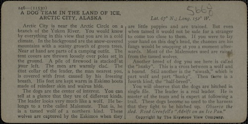 Gold miners and dog team north of the Arctic Circle (Alaska, c. 1879 - 1930).