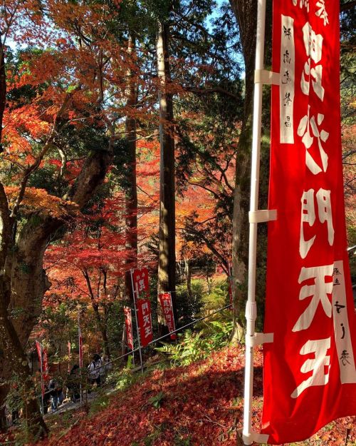 #morningwalk #朝散歩 #山科 #京都 #毘沙門堂 #平安神宮#岡崎公園#ロームシアター京都#疏水#知恩院#南禅寺#京都トラベラーズイン#kyototravelersinn#kyoto#k