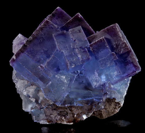 fuckyeahmineralogy: The many colors of fluorite (CaF2). Sources: 1, 2, 3, 4, 5, 6