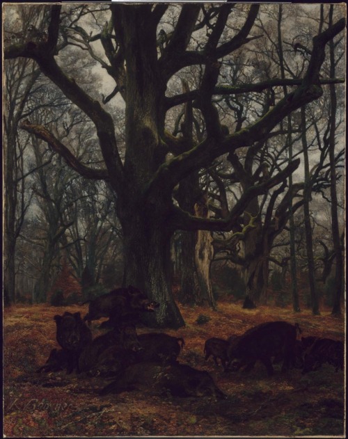 Karl Bodmer - Oaks and Wild Boars -  1865
