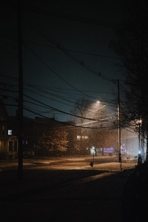 rootlessly:a snowy evening ⋇ 28 dec