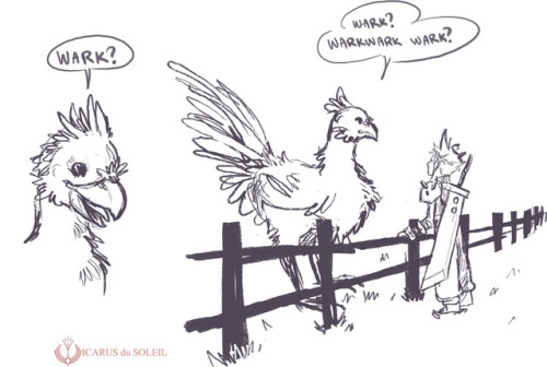 Sex icarus-doodles: The dancing chocobos always pictures