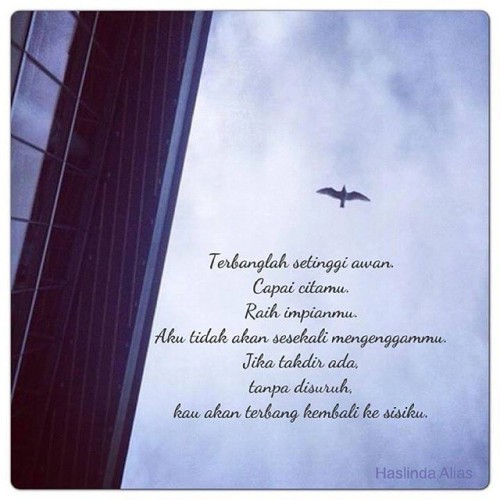 cikwin:
“ Terbanglah setinggi awan.
Gantungkan harapanmu pada Tuhan.
Jangan putus harapan.
Kerna,
Setiap kejayaan ada rintangan.
Itu namanya ujian.
Perlu ada kesabaran.
Takkan baru mula dah nak mengalah, kan?
Wahai gulahati, kentalkan diri toughkan...