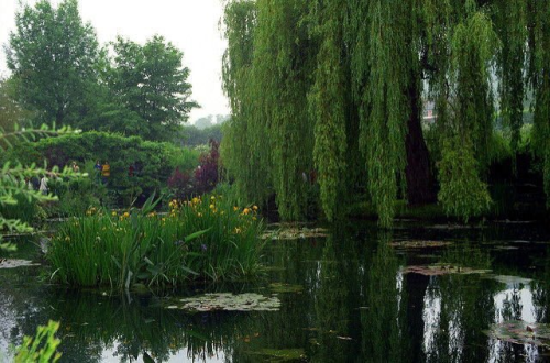 Monets House And Garden In Giverny, France. X
