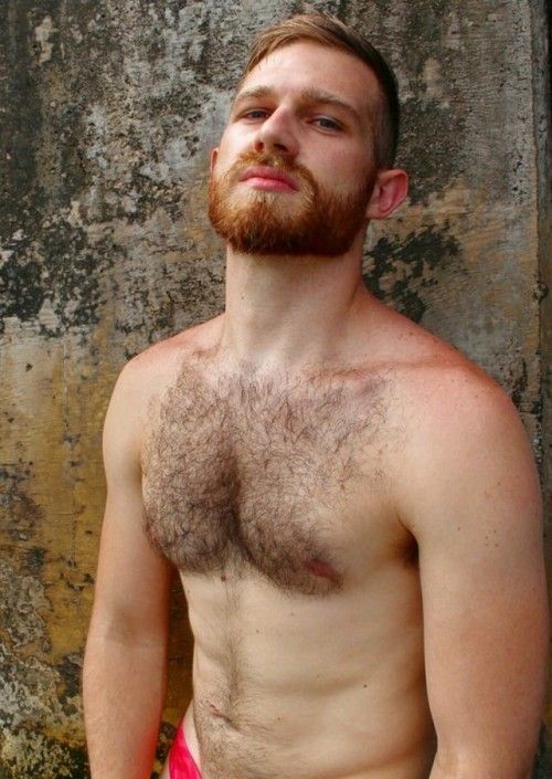 Hairy on Holiday