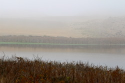 steepravine:  Foggy Beach And Lagoon (Point