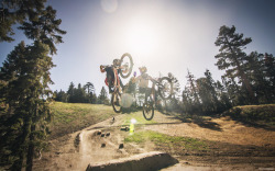 The Forest Is My Playground