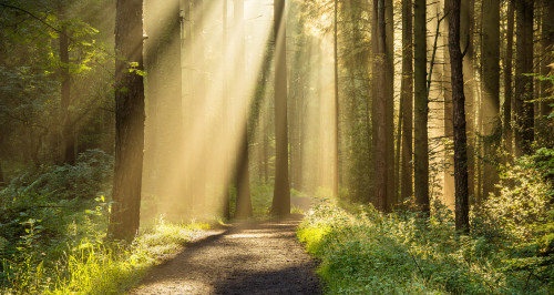 Morning Freshness- Entwistle Reservoir, Lancashire, UK. by Daniel Kay