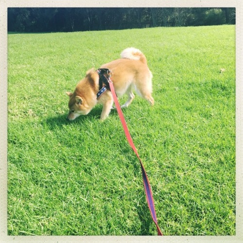 Happy Sunday walk!
